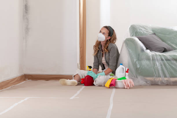 Reliable Mold Removal contractor in Baltimore, MD by WQB Mold Removal